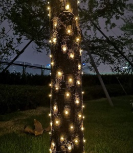 Instalatie LED Liniara, pentru Craciun, 240 LED-uri, 30m, Exterior-Interior, IP44, Jocuri de Lumini, 4 Culori - Img 9