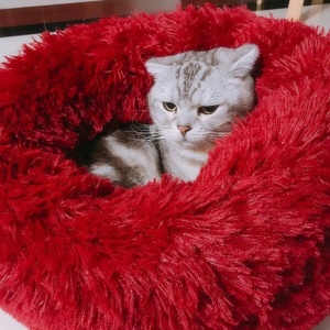 Pat pentru animale de companie, Caini si pisici de talie mica,Diametru 50 cm, Pufos - Img 12