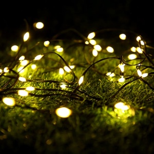 Instalatie LED Liniara pentru Craciun de 100m cu 800 LED-uri - 4 Culori - Img 1