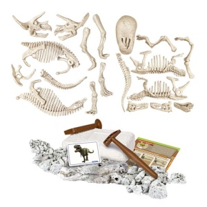 Set Stiinta si Joaca, Dinozauri, T-Rex si Triceratops - Img 1
