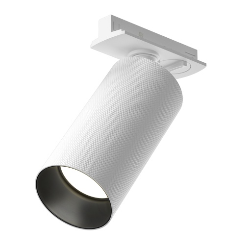 Track Luminaire TR089-1-GU10-WW
