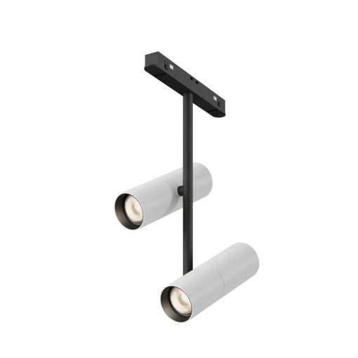 Track luminaire TR005-2-2X12W3K-BW