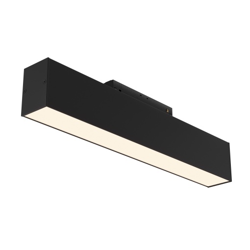 Track luminaire TR012-2-12W3K-B