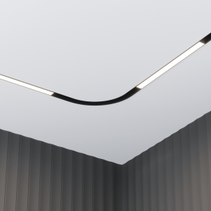 Track luminaire TR030-4-12W3K-WW-DS-B - Img 2