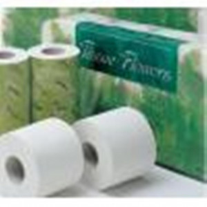 Hartie igienica Jumbo roll Eco Toilette T400