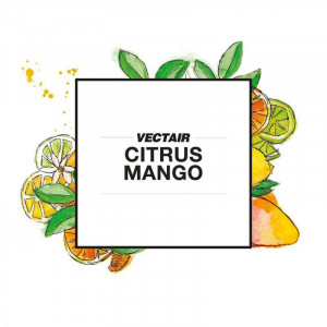 Odorizant multifaza V-AIR SOLID EVO - CITRUS MANGO - Img 2