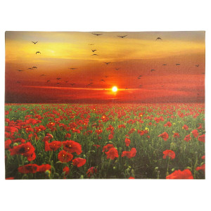 Tablou iluminat 1 led cu timer - 30x40cm - print digital pe canvas - camp de maci - Img 3