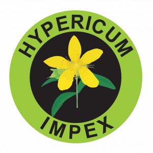 Hypericum