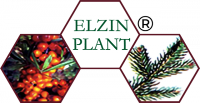 Elzin Plant