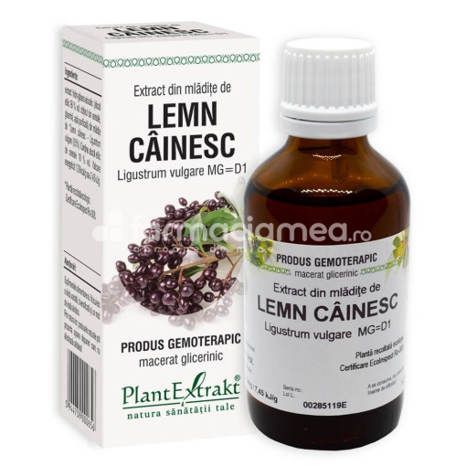 Extract Mladite de Lemn Cainesc 50ml Plant E