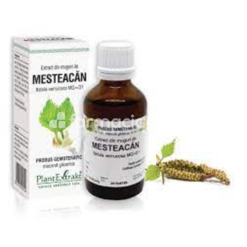 Extract Muguri de Mesteacan, 50 ml, PlantExtrakt