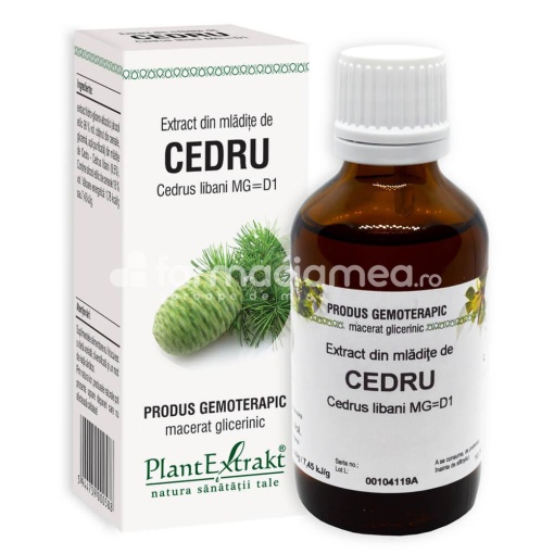 Extract mladite cedru, 50 ml, PlantExtrakt