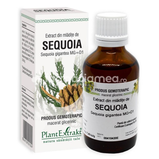 Extract Mladite de Sequoia 50ml Plant E