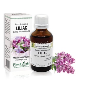 Extract din muguri de liliac, 50 ml, PlantExtrakt