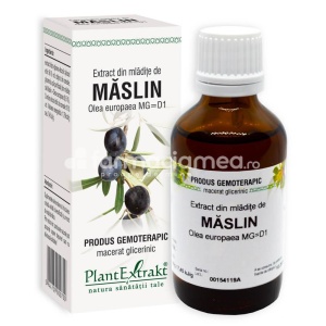 Extract Mladite de Maslin 50ml Plant E