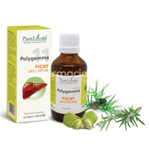 Polygemma 11 Ficat Detoxifiere 50ml Plant E - Img 2