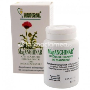 Mag Anghinar, recomandat pentru mentinerea sanatatii ficatului si a vezicii biliare, 60 comprimate, Hofigal