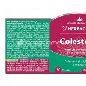 Colesterix scade colesterolul si trigliceridele, 30 de capsule, Herbagetica - Img 2