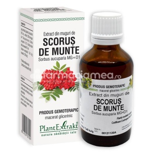 Extract Muguri de Scorus de Munte 50ml Plant E