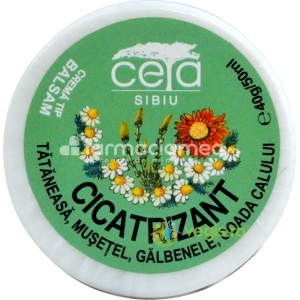 Unguent Cicatrizant 40g Ceta Sibiu