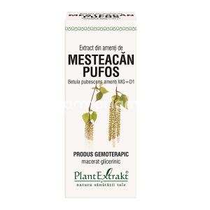 Extract Amenti de Mesteacan Pufos 50ml Plant E
