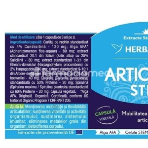 Articular Stem antiinflamator articular, 60cps, Herbagetica - Img 2