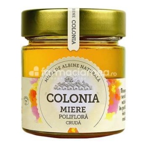 Miere crema poliflora, 270g, Colonia