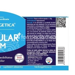Articular Stem antiinflamator articular, 60cps, Herbagetica - Img 3