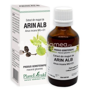Extract Muguri de Arin Alb 50ml Plant E