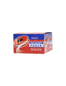 Leucoplast Panza 2,5cm/5m Minut 20111305
