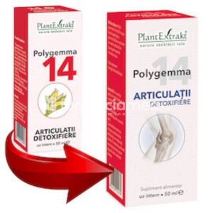 Polygemma 14 Articulatii Detoxifiere 50ml Plant E
