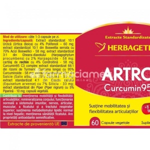 Artro + Curcumin95 sustine articulatiile, 60 de capsule, Herbagetica - Img 2