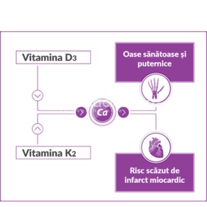 Calcidin x 60plic Pachet XXL Zdrovit - Img 3