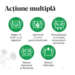 Iberogast pic orale 20ml Bayer - Img 2