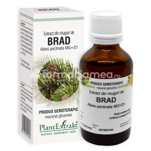 Extract Muguri de Brad 50ml Plant E