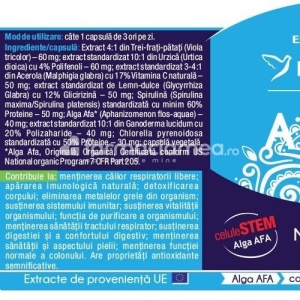 Herbagetica Alergy Stem x 60cps - Img 2