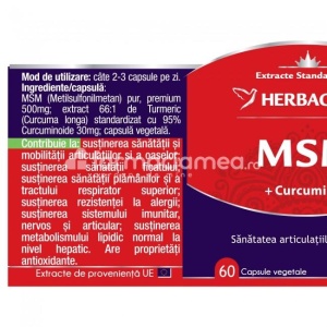 MSM + Curcumin95, 60 capsule, Herbagetica - Img 2