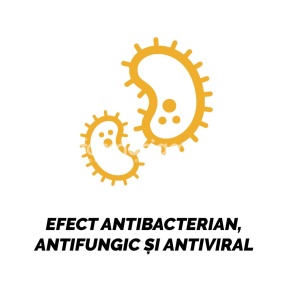 Strepsils miere si lamaie, contine amilmetacrezol si alcool 2,4 diclorobenzilic, cu efect antibacterian, antifungic si antiviral, indicat in durerea in gat si infectii oro faringiene, laringita, amigdalita, de la 6 ani, 24 de pastile, Reckitt - Img 4