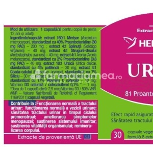 Urimer akut, infectii urinare, elimina disconfortul urinar, efect antioxidant, efect analgezic, Pachet 10 capsule + 10 capsule, Herbagetica - Img 2