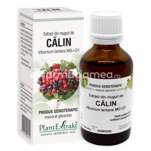 Extract Muguri de Calin 50ml Plant E
