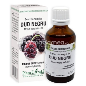 Extract muguri dud negru, 50 ml, PlantExtrakt