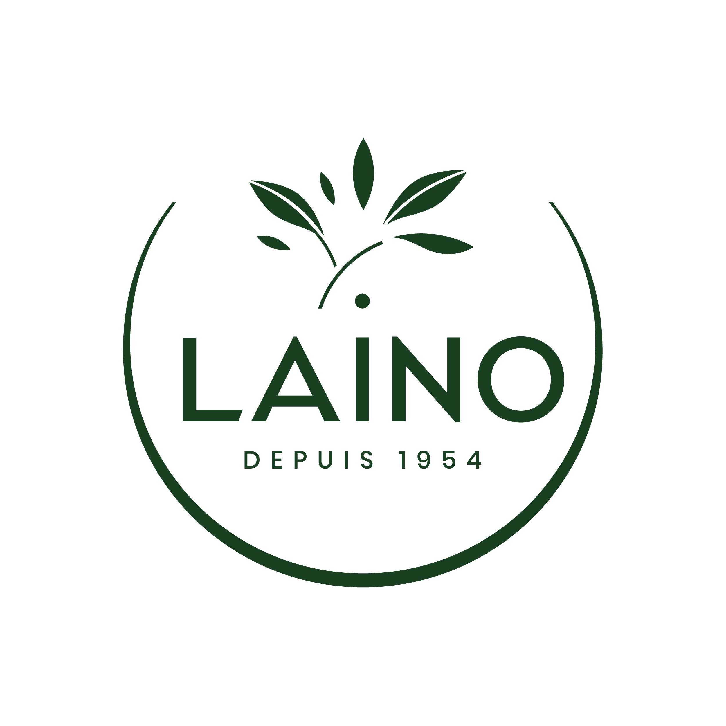 Laino