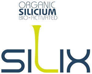 Silix