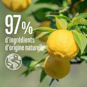 Le Petit Marseillais Infusion Șampon Antimătreață Cu Uleiuri Esențiale Și Cedrat Bio Pentru Păr Gras 250ml - Img 5