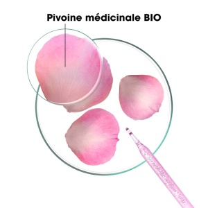 Klorane Bujor Bio Șampon Calmant Anti-Iritații Și Protecție Pentru Scalpul Sensibil 400ml - Img 7