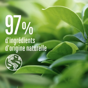 Le Petit Marseillais Infusion Pureté Șampon Purifiant Cu Cimbru Bio Și Argilă Albă Pentru Păr Cu Tendință De Îngrășare 250ml - Img 5