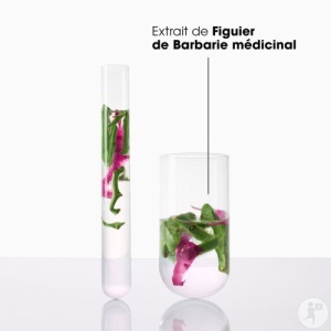 Klorane Figuier De Barbarie Șampon Hidratant Și Revitalizant Pentru Păr Tern 400ml - Img 2