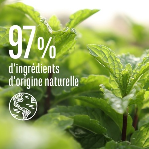 Le Petit Marseillais Infusion Șampon Antimătreață 2 În 1 Cu Mentă Bio Și Uleiuri Esențiale Pentru Toate Tipurile De Păr 250ml - Img 5