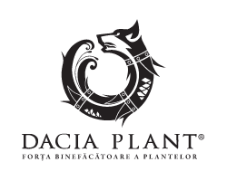 Dacia Plant