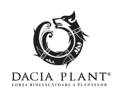 Dacia Plant